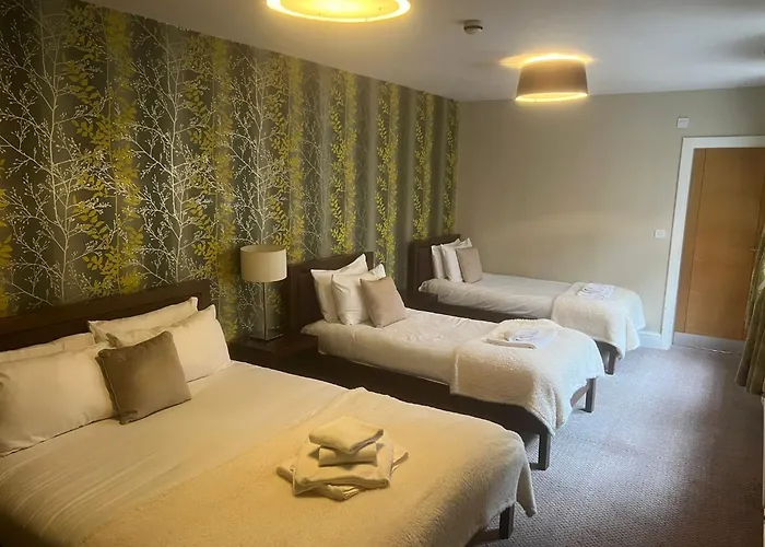 فندق The Gillygate 3*